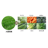 生搾り青汁　大麦若葉＋6種類の野菜（3g×30スティック）